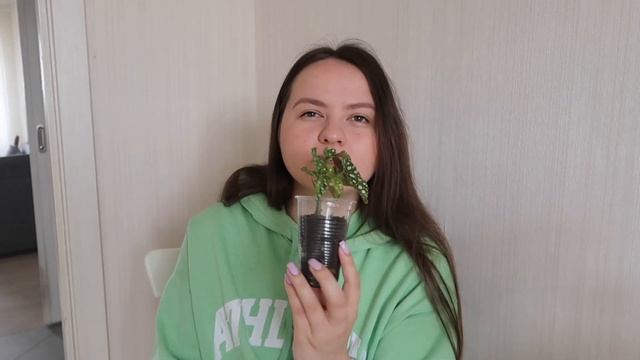 ОБЗОР НОВЫХ РАСТЕНИЙ | ЦВЕТОЧНЫЕ НОВИНКИ