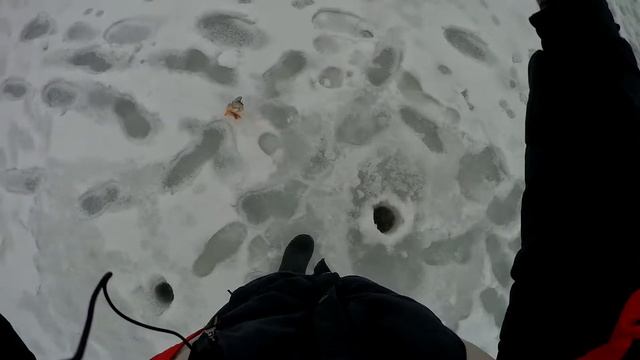 Метель и вьюга. Прогулка в метель. смотреть онлайн