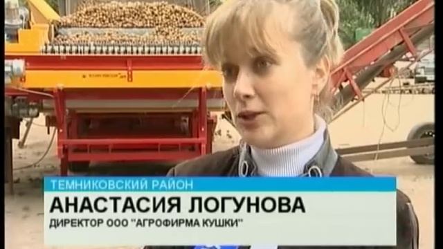 Чипсы делают из темниковского картофеля! смотреть онлайн