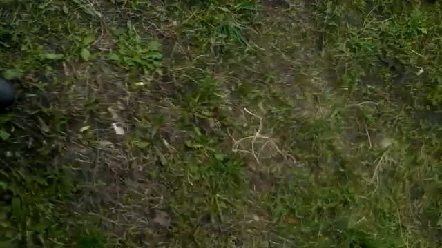 ПОРАДОВАЛА МАМУ | ГОТОВЛЮСЬ | ПОКУПАЮ ЦВЕТЫ | 2 ЧАСТЬ смотреть онлайн