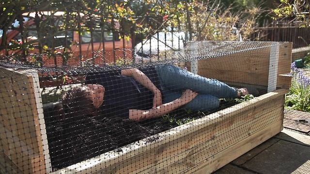 Seed Beds - My response to The Maybe by Tilda Swinton and Cornelia Parker смотреть онлайн