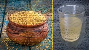 Лечение почек в домашних условиях народными средствами. Лечение почек пшеном: рецепты.