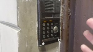 Прогулка по домофонам в Адмиралтейском районе Санкт-Петербурга. Дофига элтисов, визитов.