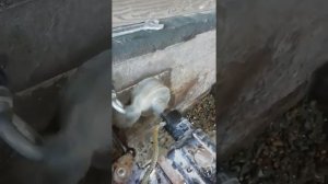 АЛМАЗНОЕ БУРЕНИЕ MAKITA DBM 230 диаметр 132 мм