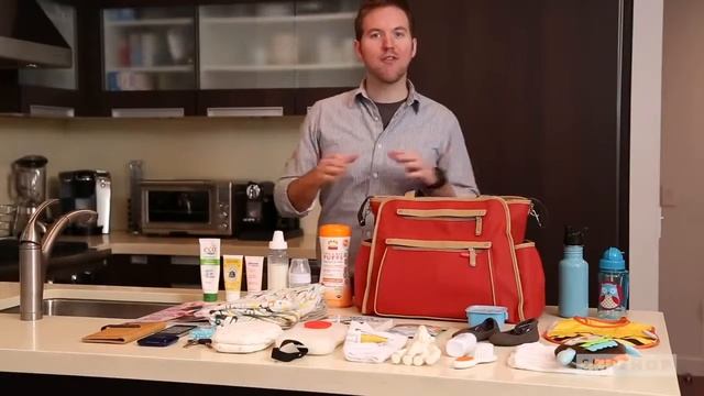 Сумка для мамы на коляску Grand Central, Skip Hop, Игроландия, арт. SH216008 смотреть онлайн