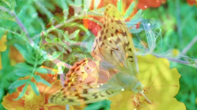 ?Чудесному человеку от всего сердца ? Добрые Пожелания ?Музыкальное пожелание хорошему человеку? смотреть онлайн