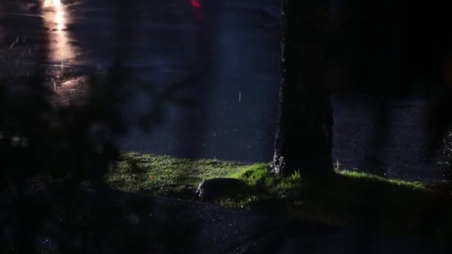 Кем Он оказался на самом деле.... Криминальные истории. Истории из жизни теща зять смотреть онлайн