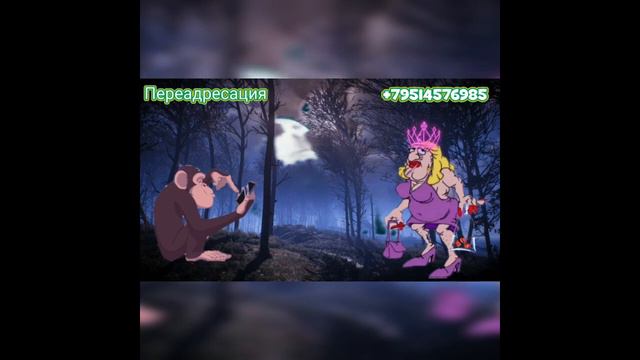 Маргинальчики / Коллекторы и звонки / Капли тетушки Фиры смотреть онлайн