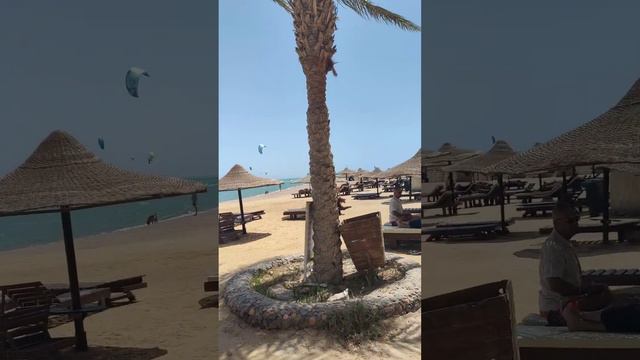 Palma Resort | Hurghada | Egypt 🇪🇬 смотреть онлайн