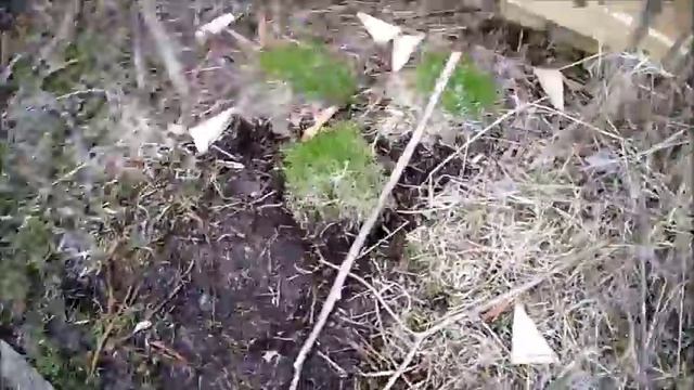 ВЛОГ: ДАЧА / БАРСИК / ИРА УВИДЕЛА НОВЫЕ ВОРОТА И ОФИГЕЛА КАК БАРАН / Irina Mai смотреть онлайн