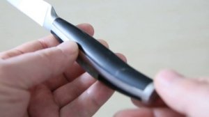 Ремонт ручки кухонного ножа sollinger