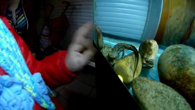 Зоопарк Орто Дойду Апрель 2017 смотреть онлайн
