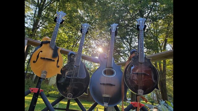 Shallow Brown on mandolin quartet смотреть онлайн