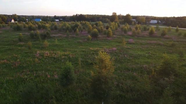 1 августа 2023 г. смотреть онлайн