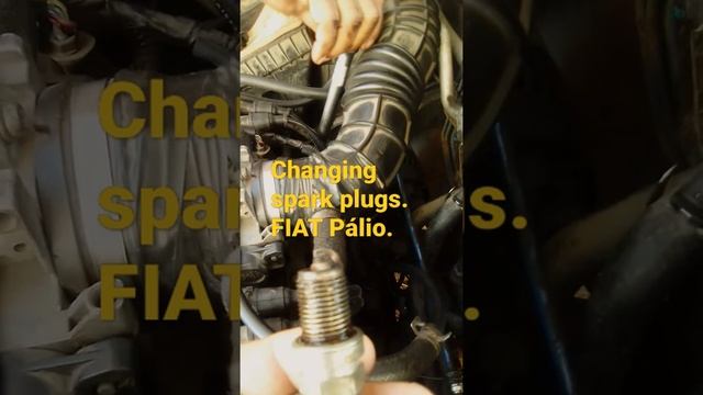 Instaling Spark Plugs. Pálio. Made in Brazil. смотреть онлайн
