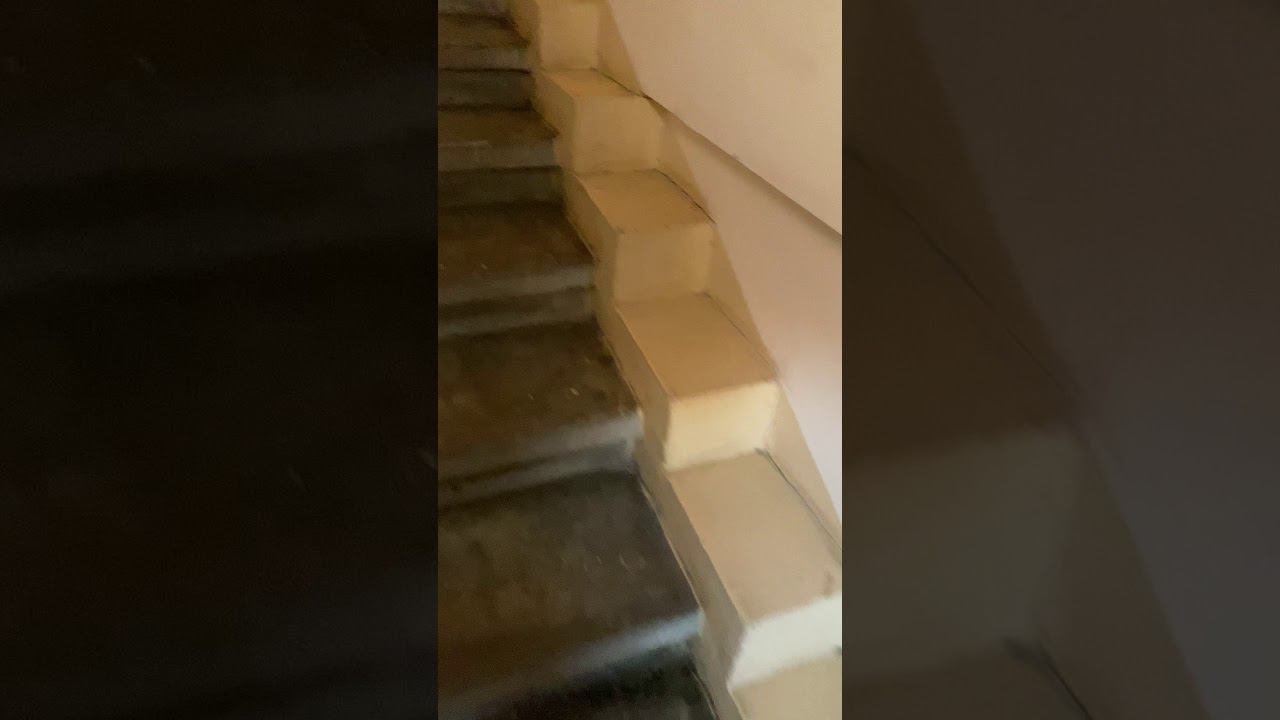 подтверждающее видео для 10кв смотреть онлайн