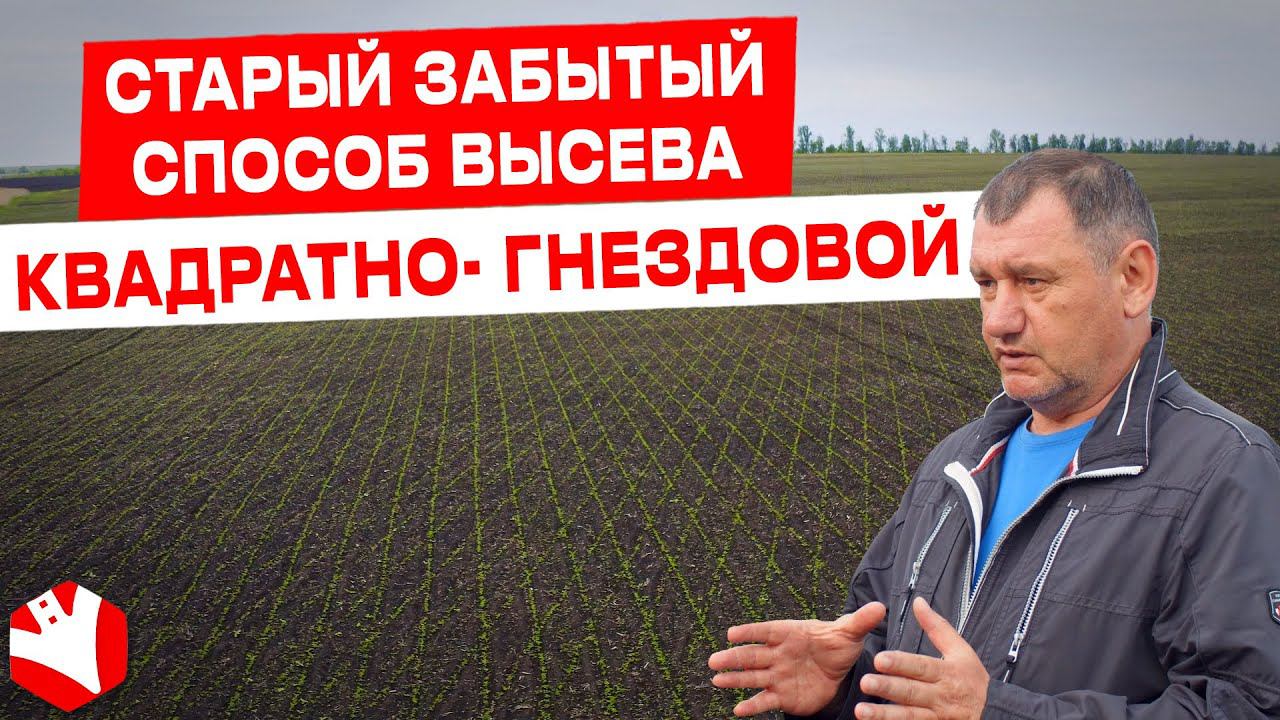 Квадратно-гнездовой высев и выращивание сои | Растениеводство | КУЛЬТИВАТОР смотреть онлайн