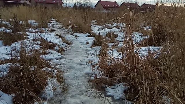 Груша 3 смотреть онлайн