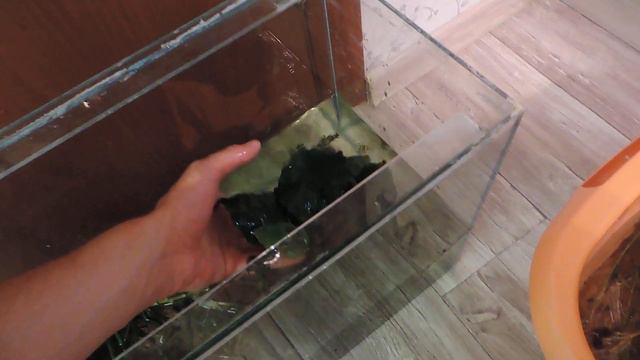 Частичная перезагрузка моего 200 литрового аквариума смотреть онлайн