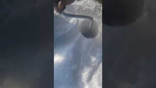 Под ледная рыбалка озеро Алаколь смотреть онлайн