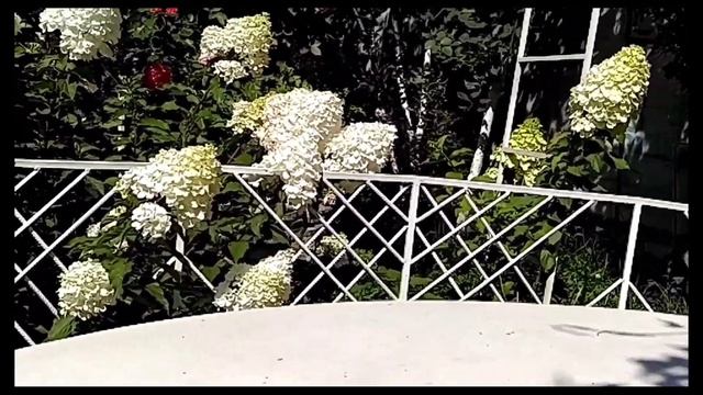 Зимовка роз на Урале будет на 100. смотреть онлайн