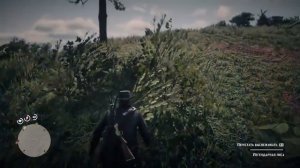 Где найти легендарную лису red dead redemption 2