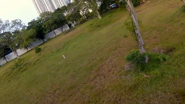 Realacc GX210 SP Racing F3 RTF - Part 3/3 - Improved PIDs for BetaFlight 3.0.1 смотреть онлайн