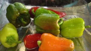 Golden Hands Cooking New (Pilaf Recipe) Inside Chicken | New Currasana Recipe