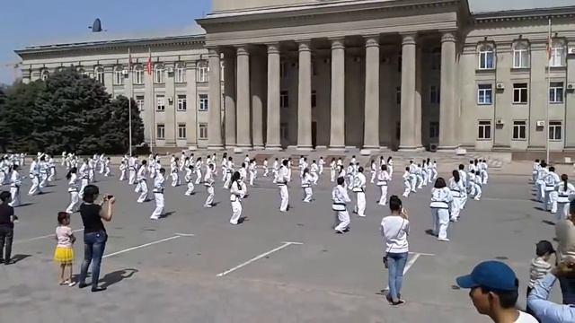 Первый флешмоб таэквондистов в бишкеке смотреть онлайн