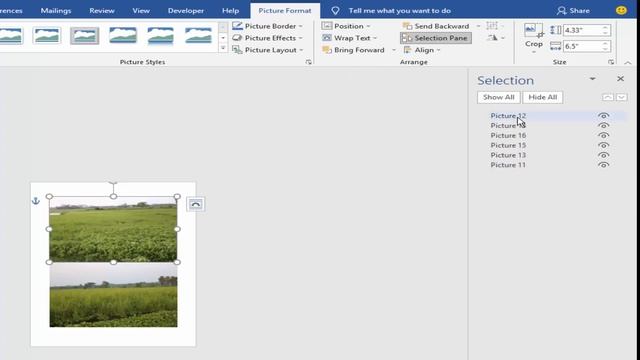 How to resize bulk or multiple images in Microsoft Word смотреть онлайн