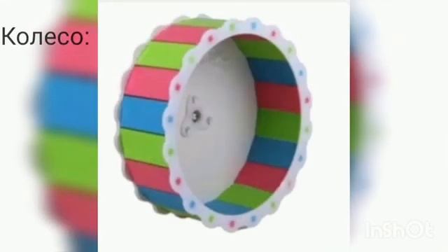 Всё что нужно для содержания ХОМЯКА)??#хомяк#Как содержать? смотреть онлайн