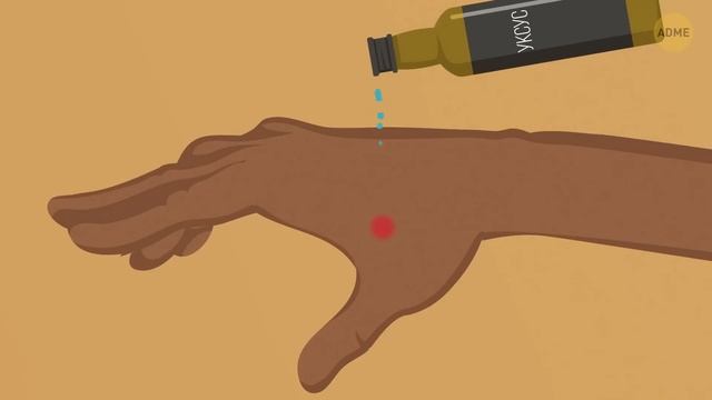 101 совет от инсайдеров, чтобы путешествовать по миру без больших затрат смотреть онлайн