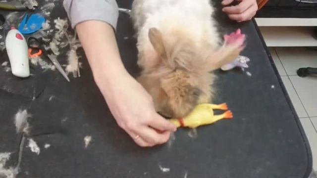 Кроличек смотреть онлайн