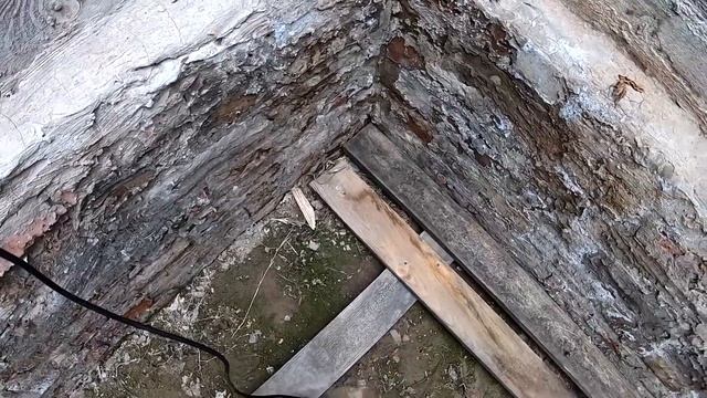 Ямное содержание кроликов. Кроличья яма своими руками смотреть онлайн