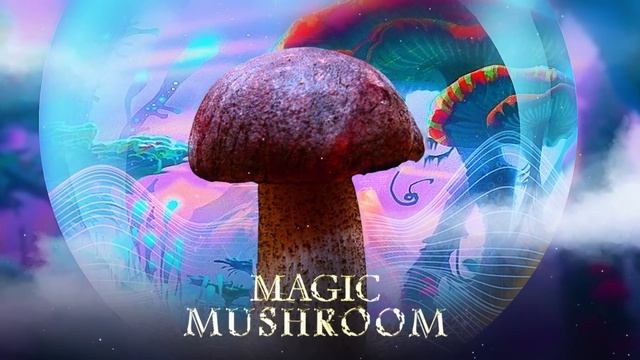 Alfons & Rasmus Gozzi - Magic Mushroom смотреть онлайн