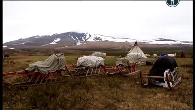 Россия из окна поезда. Мертвая дорога