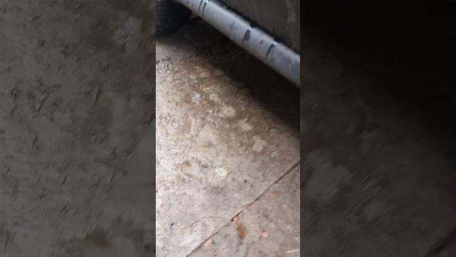 Волкособ в деле смотреть онлайн