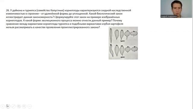Сложное задание про турнепс и дайкон с ЕГЭ по биологии 2022 смотреть онлайн