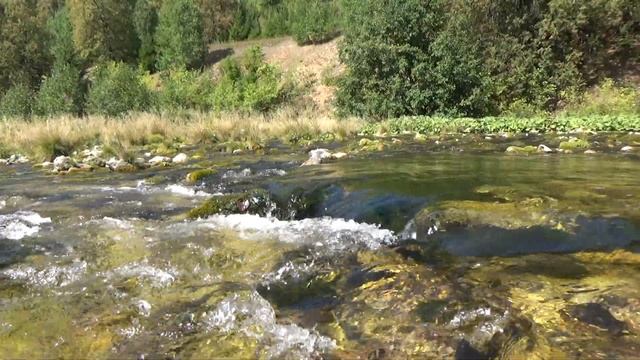 Река вышла из темноты подземной и потекла под солнцем. смотреть онлайн