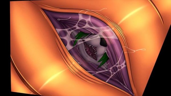 ?COMIC SNAKE VORE - furry wanted to be swallowed by a snake with its tail