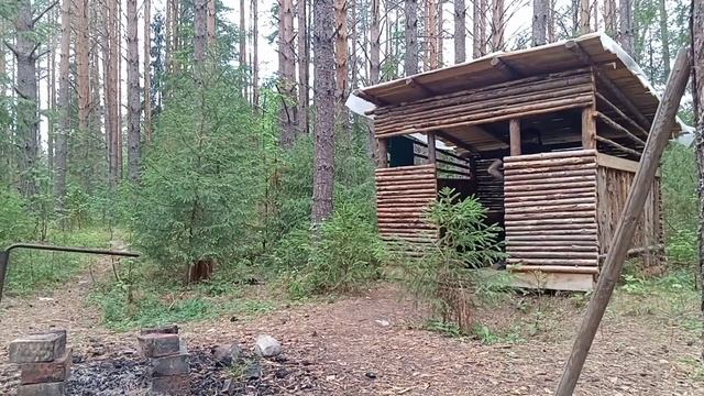 Тащи! Через не могу - тащи! Делаю избу мечты из последних си. I'm building a hermit's house смотреть онлайн