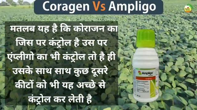 Soybean Coragen Vs Ampligo full information|Coragen insecticide Ampligo insecticide|सोयाबीन मे Spra смотреть онлайн