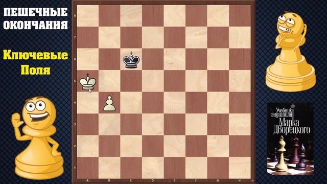 Шахматы. Учебник эндшпиля №1. Пешечные окончания - ключевые поля смотреть онлайн