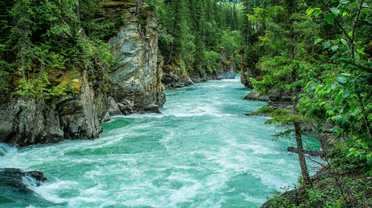 Глубокая Релаксация И Расслабление Со Звуками Природы И Воды ✦ Звуки Леса И Пение Птиц смотреть онлайн
