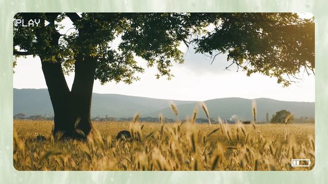 Reading Music - Peaceful Countryside on a Beautiful Sunny Day | ????????? ????? | 편안한 음악 | 癒しの音楽 смотреть онлайн