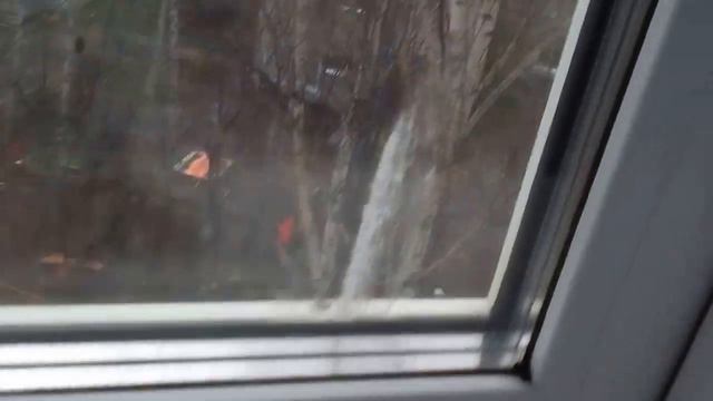 Эпизод #2 "хомяк психанул" ставьте скорость 0 5 смотреть онлайн