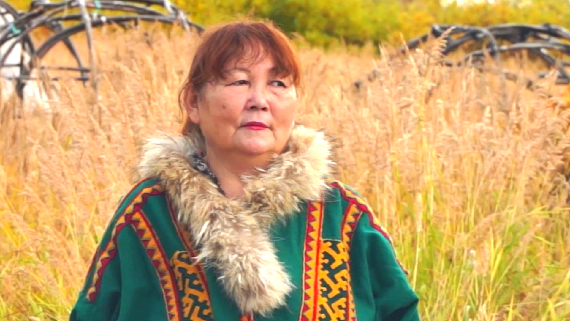 Почему ненцы любят тундру?