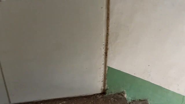Модернизированный лифт, г/п 320 кг, V=0,71 м/с (ул. Портовая, 8, подъезд 5, г. Запорожье) смотреть онлайн