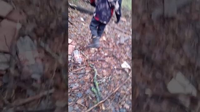 в лесу слышали крик ??????? и очень холодная погода смотреть онлайн