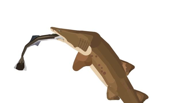 Sand Tiger Shark ￼eating Test (Stick￼ nodes Pro￼ смотреть онлайн